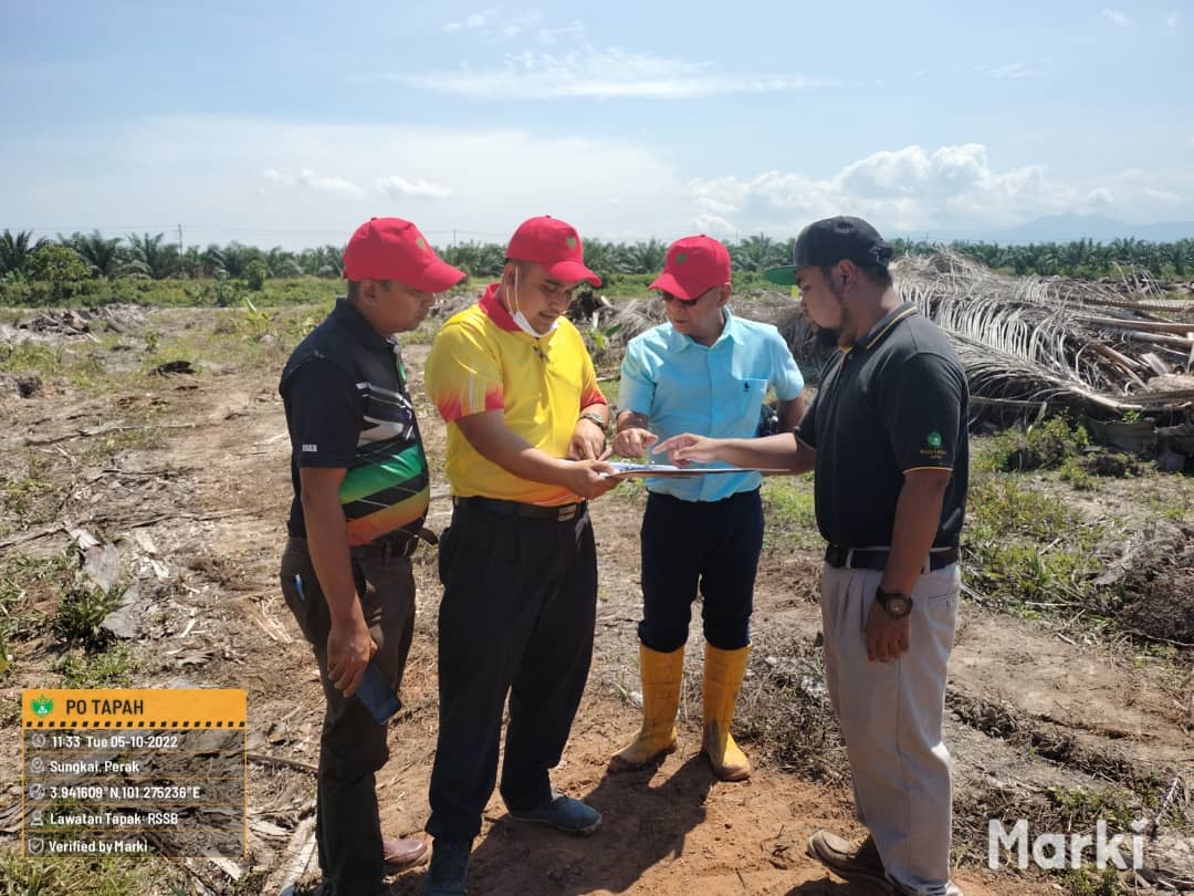 kelapa sawit122